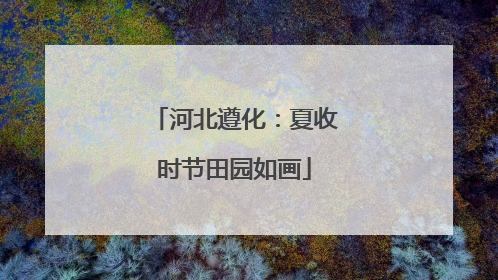 河北遵化：夏收时节田园如画