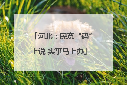 河北：民意“码”上说 实事马上办