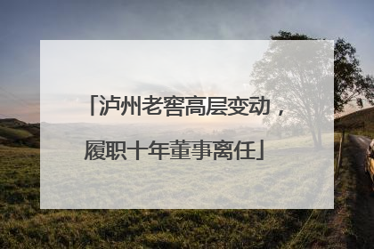泸州老窖高层变动，履职十年董事离任