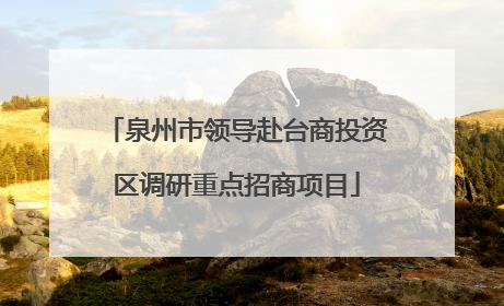 泉州市领导赴台商投资区调研重点招商项目