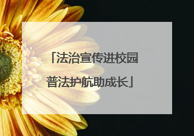 法治宣传进校园 普法护航助成长
