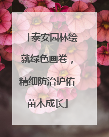 泰安园林绘就绿色画卷，精细防治护佑苗木成长