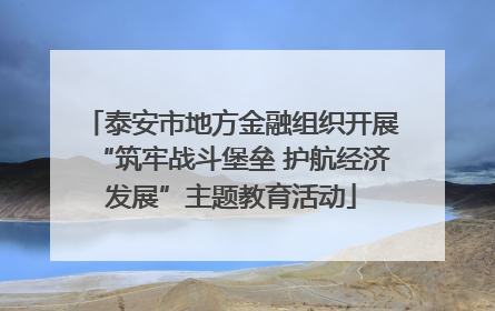 泰安市地方金融组织开展“筑牢战斗堡垒 护航经济发展”主题教育活动