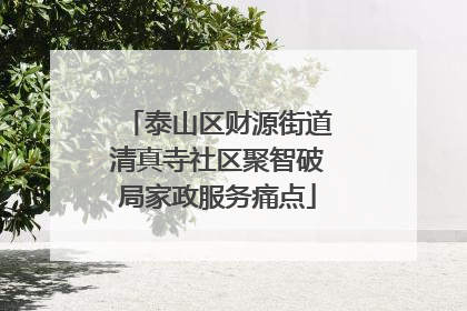 泰山区财源街道清真寺社区聚智破局家政服务痛点