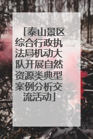 泰山景区综合行政执法局机动大队开展自然资源类典型案例分析交流活动