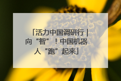 活力中国调研行｜向“智”！中国机器人“跑”起来