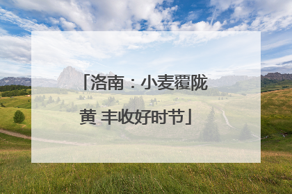 洛南：小麦覆陇黄 丰收好时节