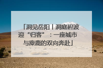 洞见岳阳丨洞庭碧波迎“归客”：一座城市与麋鹿的双向奔赴