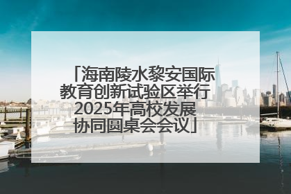 海南陵水黎安国际教育创新试验区举行2025年高校发展协同圆桌会会议