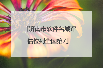 济南市软件名城评估位列全国第7