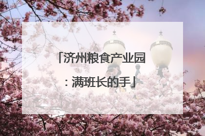 济州粮食产业园：满班长的手