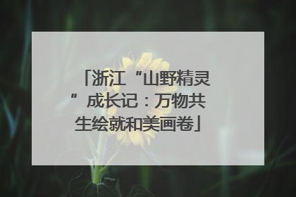 浙江“山野精灵”成长记：万物共生绘就和美画卷