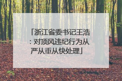 浙江省委书记王浩：对顶风违纪行为从严从重从快处理