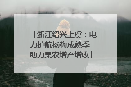 浙江绍兴上虞：电力护航杨梅成熟季 助力果农增产增收
