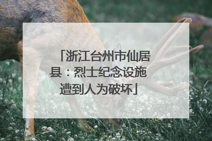 浙江台州市仙居县：烈士纪念设施遭到人为破坏