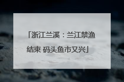 浙江兰溪：兰江禁渔结束 码头鱼市又兴