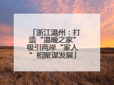 浙江温州：打造“温暖之家”吸引两岸“家人”相聚谋发展