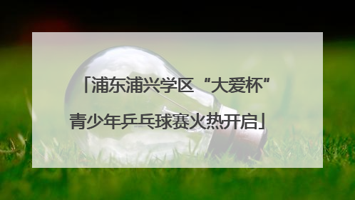 浦东浦兴学区“大爱杯”青少年乒乓球赛火热开启
