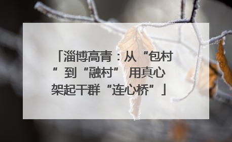 淄博高青：从“包村”到“融村” 用真心架起干群“连心桥”