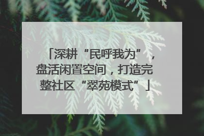深耕“民呼我为”，盘活闲置空间，打造完整社区“翠苑模式”