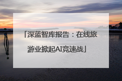深蓝智库报告：在线旅游业掀起AI竞速战
