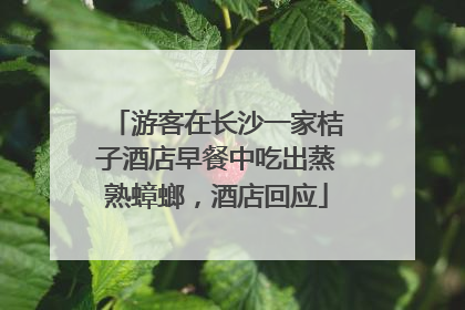 游客在长沙一家桔子酒店早餐中吃出蒸熟蟑螂，酒店回应