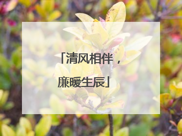 清风相伴，廉暖生辰