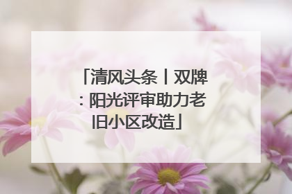 清风头条丨双牌：阳光评审助力老旧小区改造