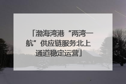 渤海湾港“两湾一航”供应链服务北上通道稳定运营