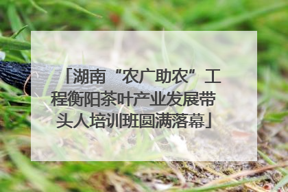 湖南“农广助农”工程衡阳茶叶产业发展带头人培训班圆满落幕