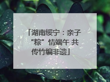 湖南绥宁：亲子“粽”情端午 共传竹编非遗