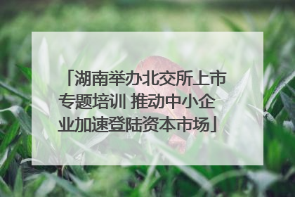 湖南举办北交所上市专题培训 推动中小企业加速登陆资本市场