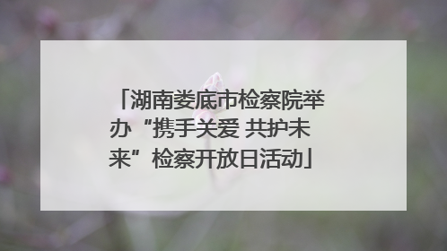 湖南娄底市检察院举办“携手关爱 共护未来”检察开放日活动
