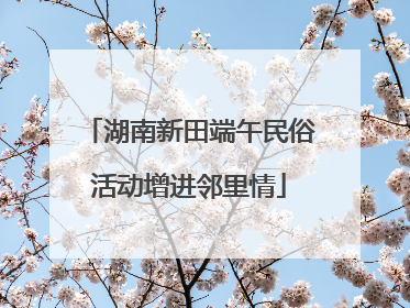 湖南新田端午民俗活动增进邻里情