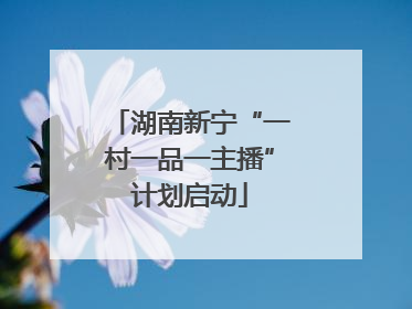 湖南新宁“一村一品一主播”计划启动