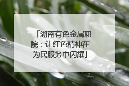 湖南有色金属职院：让红色精神在为民服务中闪耀