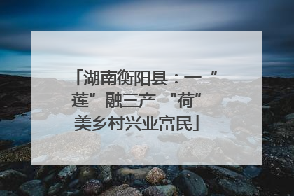 湖南衡阳县：一“莲”融三产 “荷”美乡村兴业富民