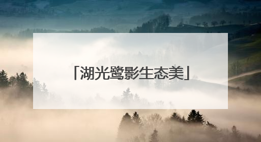 湖光鹭影生态美