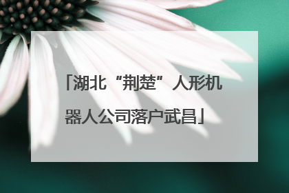 湖北“荆楚”人形机器人公司落户武昌