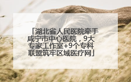 湖北省人民医院牵手咸宁市中心医院，9大专家工作室+9个专科联盟筑牢区域医疗网
