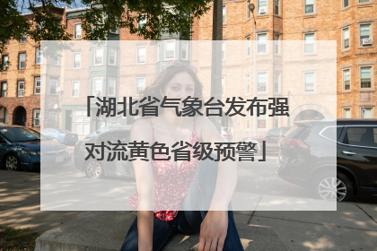 湖北省气象台发布强对流黄色省级预警