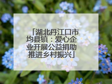 湖北丹江口市均县镇：爱心企业开展公益捐助推进乡村振兴