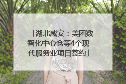 湖北咸安：美团数智化中心仓等4个现代服务业项目签约