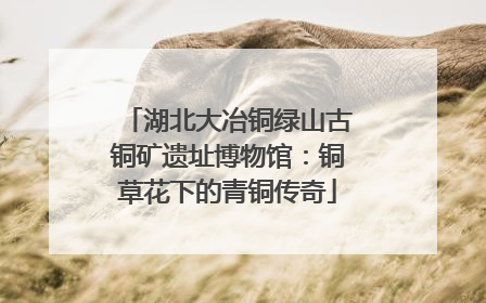 湖北大冶铜绿山古铜矿遗址博物馆：铜草花下的青铜传奇