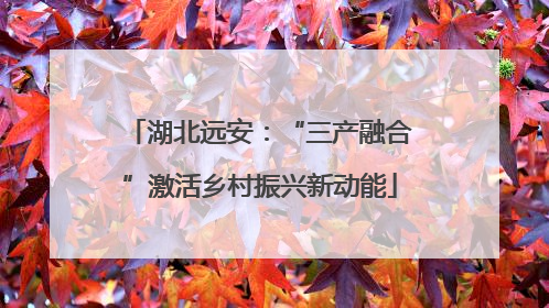 湖北远安：“三产融合”激活乡村振兴新动能