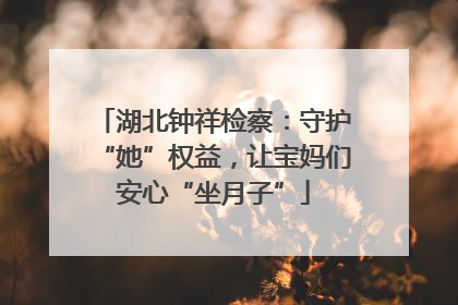 湖北钟祥检察：守护“她”权益，让宝妈们安心“坐月子”