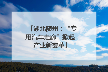 湖北随州：“专用汽车走廊”掀起产业新变革
