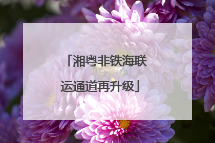 湘粤非铁海联运通道再升级