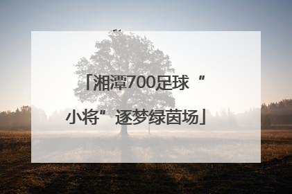 湘潭700足球“小将”逐梦绿茵场