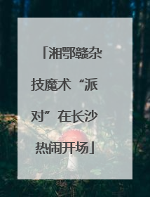 湘鄂赣杂技魔术“派对”在长沙热闹开场
